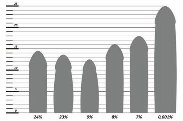 Statistikat e madhësisë së penisit